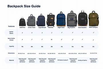 The Perfect Standard Backpack: Sized Just Right for Your Needs