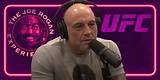 The Real Truth About Joe Rogan's Height Unveiled: a Definitive Guide
