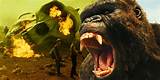 Unveiling the Enigmatic World of Kane Kong: Discoveries and Profound Insights
