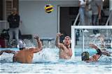 Unveiling the Water Polo Prowess of Zsuzsi Starkloff: an Encyclopedic Journey